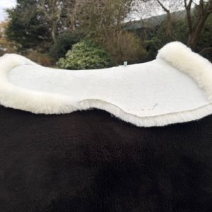 Ivory Straight Cut Dressage Saddle pad