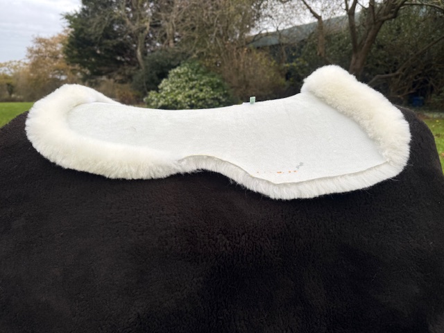 Ivory Straight Cut Dressage Saddle pad